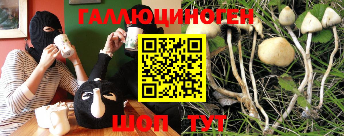 Псилоцибиновые грибы прущие грибы Егорьевск